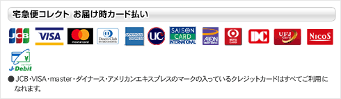 JCB、VISA、Master、ダイナース、アメリカンエキスプレス、UC、クレディセゾン、イオンクレジット、エムユーエフジー、DC、UFJ、NICOS